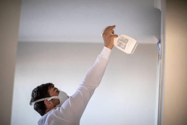 Best Mold Testing and Inspection Services in Palacios, TX