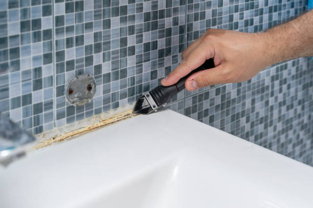 Best Mold Remediation for Specific Building Types in Palacios, TX