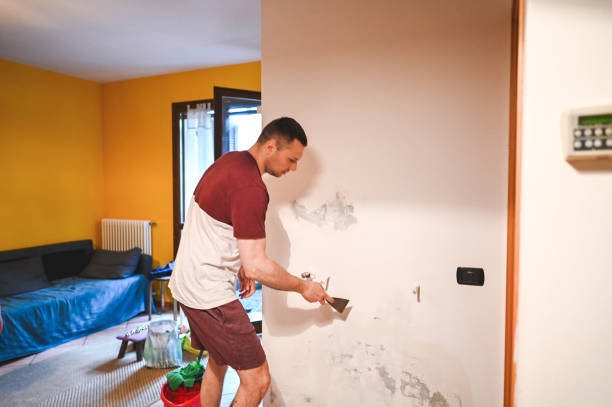 Best Commercial Mold Remediation in Palacios, TX