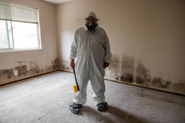 Best Residential Mold Remediation in Palacios, TX